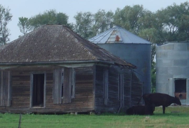 new home